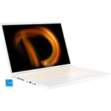 Acer ConceptD 3 (CN316-73G-5330), Notebook weiß, Windows 11 Home 64-Bit, 512 GB SSD