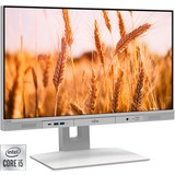 Fujitsu ESPRIMO K5010 (VFY:K5010PC52MIN), PC-System silber, Windows 10 Pro 64-Bit