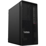 Lenovo ThinkStation P2 Tower Gen 2 (30JQ00AGGE), PC-System schwarz, Windows 11 Pro