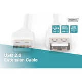 Digitus USB 2.0 Verlängerungskabel, USB-A Stecker > USB-A Buchse beige, 1,8 Meter