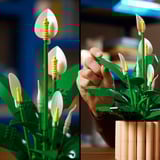 LEGO 11504 Botanicals Friedenslilie, Konstruktionsspielzeug 