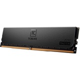 Team Group DIMM 64 GB DDR5-6000 (4x 16 GB) Quad-Kit ECC, Arbeitsspeicher schwarz, CTCMD564G6000HC32AQC01, T-CREATE MASTER, Registred, INTEL XMP