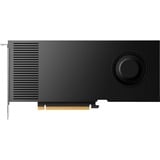 NVIDIA RTX 4000 Ada Generation 20GB PB, Grafikkarte