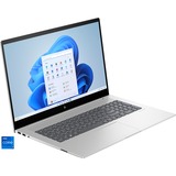 HP Envy 17-cw0072ng, Notebook silber, Windows 11 Home 64-Bit, 512 GB SSD