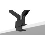 BenQ Ergo Arm BDL01, Monitorhalterung schwarz