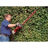 EINHELL Heckenschere GC-EH 6055/1 rot/schwarz, 600 Watt