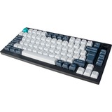 Keychron V1 Max, Gaming-Tastatur schwarz/blaugrau, DE-Layout, Gateron Jupiter Banana, Hot-Swap, RGB