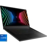 Razer Blade 15 Profi Modell (RZ09-0409AGD3-R3G1), Gaming-Notebook schwarz, Windows 10 Home 64-Bit, 240 Hz Display