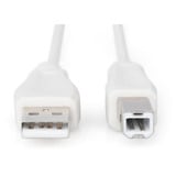Digitus USB 2.0 Anschlusskabel USB-A (Stecker) > USB-B (Stecker) beige, 1,8 Meter