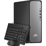 HP OmniDesk Slim S03-0053ng, PC-System schwarz/silber, Windows 11 Home 64-Bit