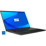 Schenker VISION 14 (10506097), Notebook schwarz, Windows 11 Home 64-Bit, 90 Hz Display, 1 TB SSD