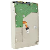 Seagate Exos X10 10TB Generalüberholt, Festplatte SATA 6 Gb/s, 3,5"