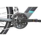 Telefunken Expedition XC940, Pedelec weinrot, 28", 50 cm Rahmen