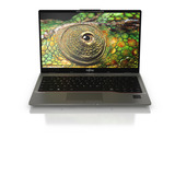 Fujitsu LIFEBOOK U7412 GEneralüberholt, Notebook silber, Intel® Core™ i7-1255U, Intel® Iris® Xe Graphics, 16 GB DDR4, 512 GB (512 GB SSD), Windows 11 Pro