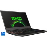 XMG NEO 15 (10505864), Gaming-Notebook grau, Windows 10 Home 64-Bit, 165 Hz Display