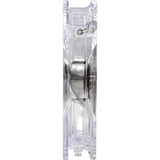 Xilence Performance C LED Series 120x120x25, Gehäuselüfter transparent, 120 mm