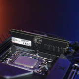 ADATA CUDIMM 16 GB DDR5-6400, Arbeitsspeicher AD5CU640016G-S