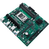 ASUS PRO B650M-CT-CSM, Mainboard grün