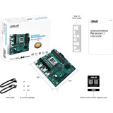 ASUS PRO B650M-CT-CSM, Mainboard grün