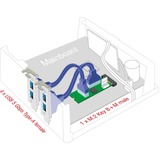 DeLOCK Konverter M.2 Key B+M Stecker > 4 x USB 5 Gbps Typ-A, Schnittstellenerweiterung 