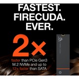 Seagate FireCuda 530 500 GB mit Kühlkörper, SSD schwarz, PCIe 4.0 x4, NVMe 1.4, M.2 2280