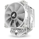 Sharkoon A60 RGB, CPU-Kühler weiß, 120 mm