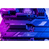 Crucial T705 1 TB, SSD schwarz, PCIe 5.0 x4, NVMe 2.0, M.2 2280, inkl. Aluminium Kühlkörper