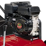 Einhell Benzin-Vertikutierer GC-SC 4240 P rot/schwarz, 4,2 kW