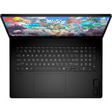 OMEN 17-db0156ng, Gaming-Notebook schwarz, AMD Ryzen 5 8645HS, NVIDIA GeForce RTX 4060, 32 GB DDR5, 512 GB (512 GB SSD), ohne Betriebssystem