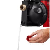 EINHELL Gartenpumpe GC-GP 6050 ECO PLUS rot/schwarz, 600 Watt