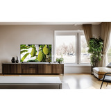 TCL 43V5C, QLED-Fernseher 108 cm (43 Zoll), schwarz, FullHD, Triple-Tuner, Smart TV