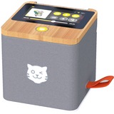 Tigermedia tigerbox TOUCH Starterpaket, Streaming-Client grau, USB-C