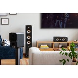 Polk Audio Signature Elite ES15, Lautsprecher schwarz, Paar