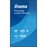 iiyama LH6575UHS-B2AG, Public Display schwarz (matt), UltraHD/4K, IPS, Lautsprecher, Daisy Chain