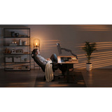 ENDORFY Atlas GS Pro Single, Monitorhalterung schwarz, für Monitore bis 124,5 cm (49")