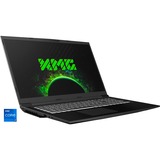 XMG CORE 17 (10505861), Gaming-Notebook grau, Windows 10 Home 64-Bit, 165 Hz Display