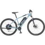 Prophete GRAVELER 21.EMM.20 (2021), Pedelec grau, 29", 48 cm Rahmen
