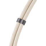 Intenso Handykette und Lade-/Datenkabel Cell Phone Charging Lanyard beige, 1,65 Meter, USB-C, PD3.0 / QC4.0, Nylon