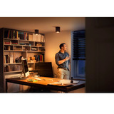 Philips HUE White Ambiance Pillar Einzelspot, LED-Leuchte schwarz, inkl. Dimmschalter