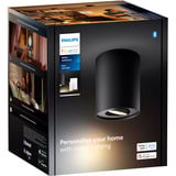 Philips Hue White Ambiance Pillar Einzelspot, LED-Leuchte schwarz, inkl. Dimmschalter