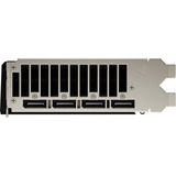 ASRock Intel® Arc Pro B70 Creator 32GB B70 CL, Grafikkarte 4x DisplayPort