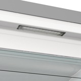 gorenje FN619DAXL6, Gefrierschrank edelstahl