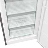 gorenje FN619DAXL6, Gefrierschrank edelstahl