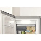 gorenje FN619DAXL6, Gefrierschrank edelstahl