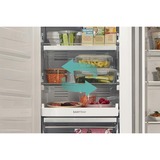 gorenje FN619DAXL6, Gefrierschrank edelstahl