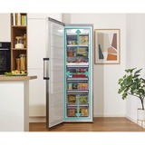 gorenje FN619DAXL6, Gefrierschrank edelstahl