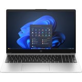 HP 255 G10 (AD1K2ET), Notebook silber, AMD Ryzen 5 7535U, AMD Radeon 660M, 16 GB DDR5, 512 GB (512 GB SSD), Windows 11 Pro 64-Bit