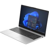 HP 255 G10 (AD1K2ET), Notebook silber, AMD Ryzen 5 7535U, AMD Radeon 660M, 16 GB DDR5, 512 GB (512 GB SSD), Windows 11 Pro 64-Bit