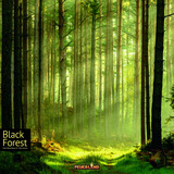 Pegasus Black Forest, Brettspiel 