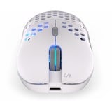 ENDORFY LIX Onyx White Wireless, Gaming-Maus weiß/grau